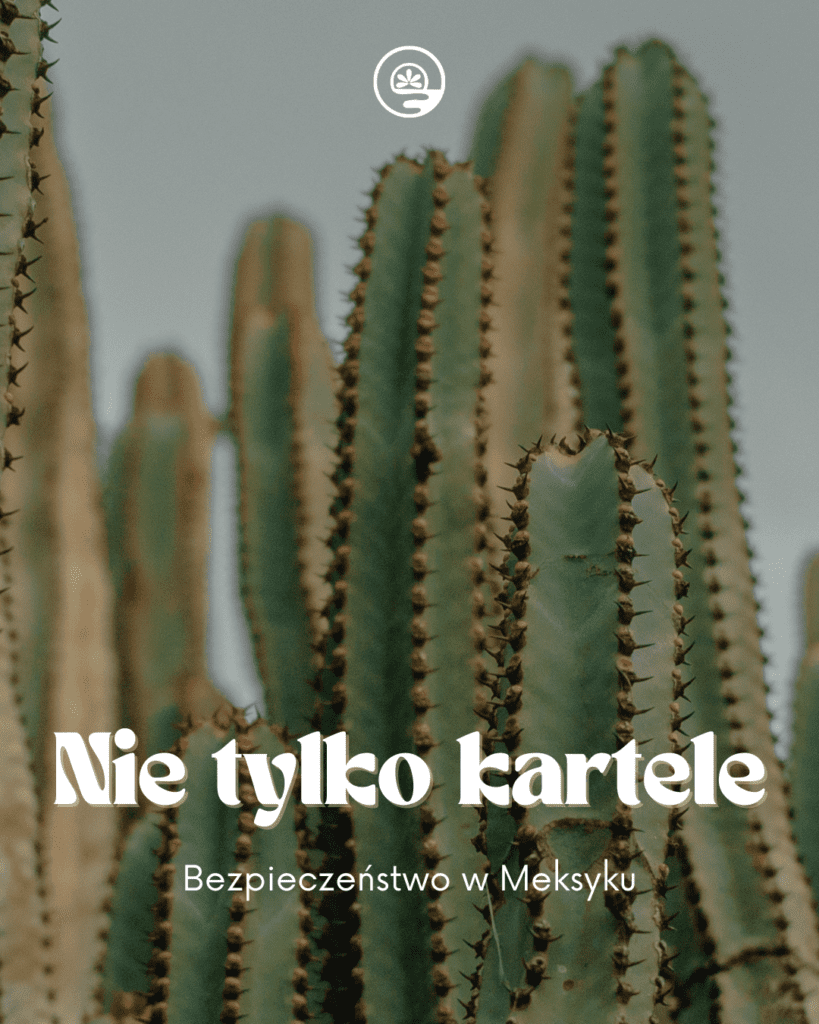 okładka-bezpieczenstwo Nie tylko kartele. Bezpieczeństwo w Meksyku