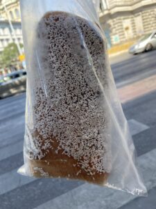 Kołacz - słodki symbol Węgier, który zna chyba każdy! To ciasto drożdżowe owinięte na wałku i pieczone nad ogniem, aż nabierze złocistego koloru i karmelowego aromatu.  Podobnie jak w Polsce, występuje w wielu wersjach – z orzechami, kokosem, cynamonem czy kakao. Ciepły, chrupiący i pachnący - smakuje najlepiej prosto z ulicznego stoiska w Budapeszcie!